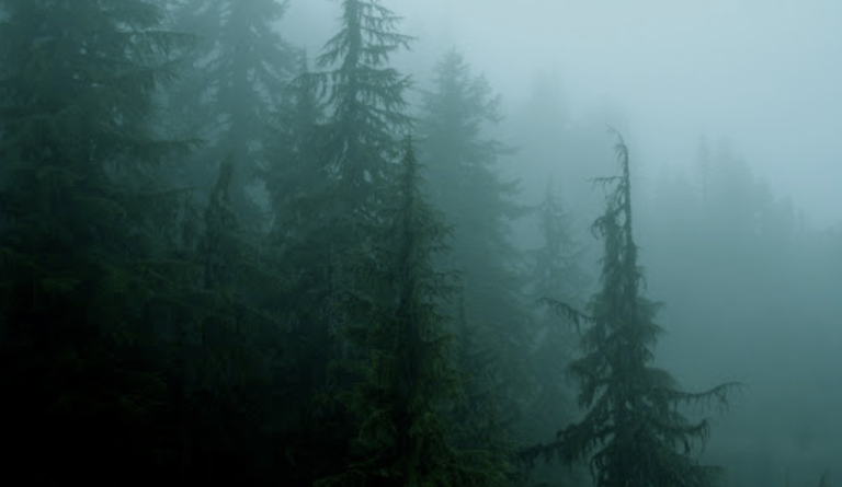 pacific northwest