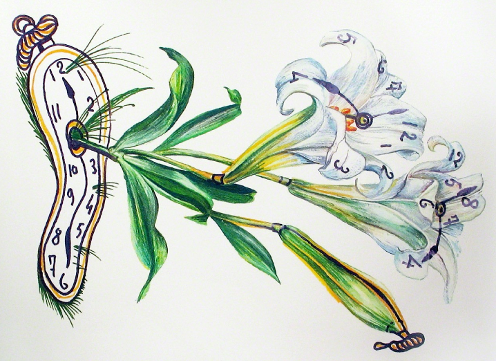 In Defense of the Present Tense - Vimarsana News