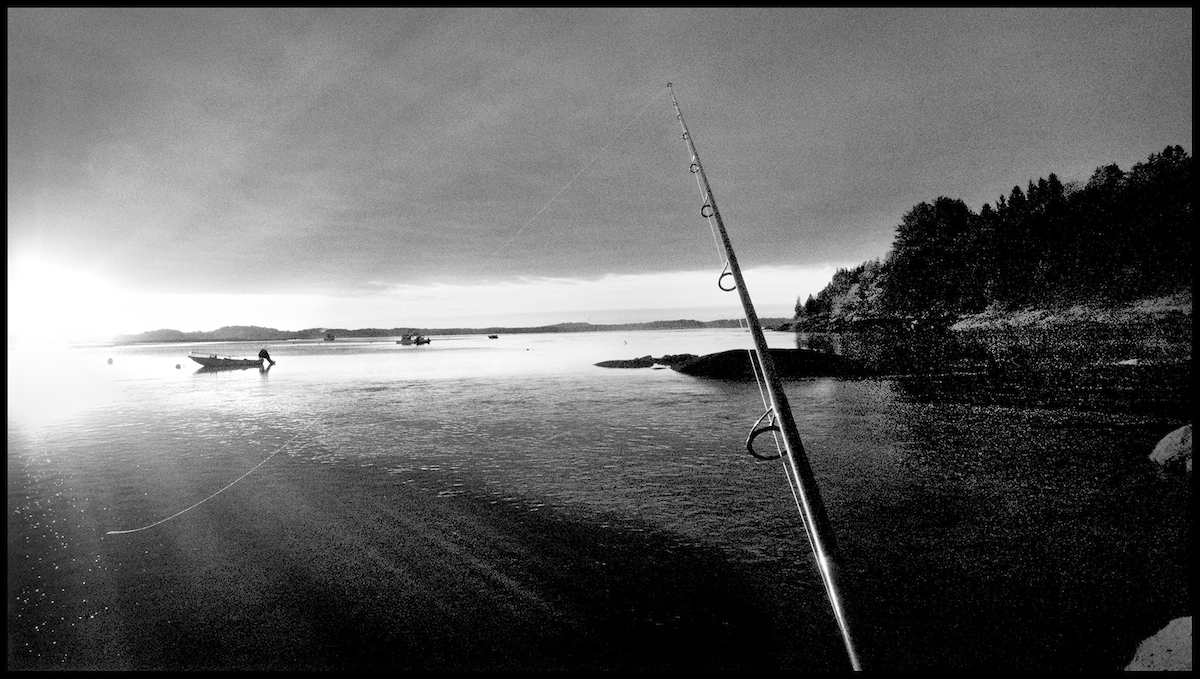 Essex River, Conomo Point, 2013