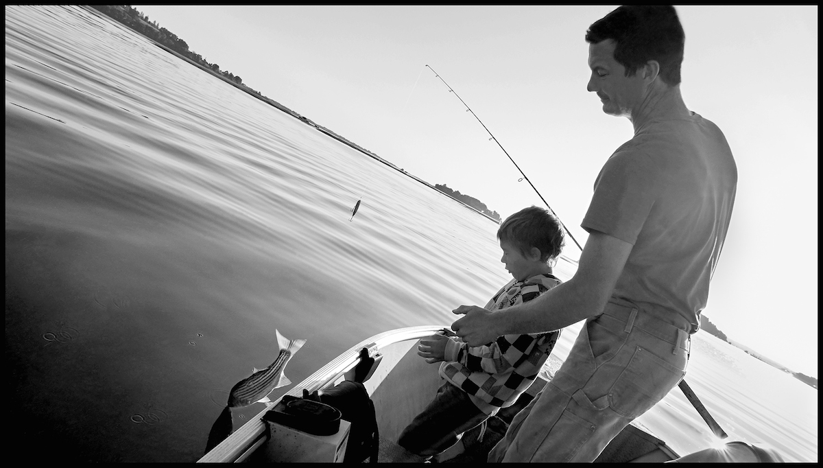 Fishing For Striped Bass, Essex River, 2013