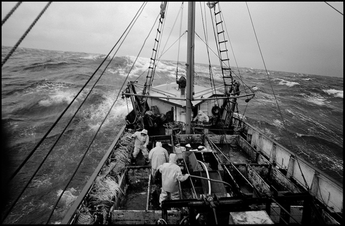 Joseph & Lucia II, Georges Bank, 1980