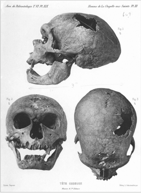 The Old Man of La Chapelle. These pen-and-ink drawings of the Neanderthal were created by Monsieur J. Papoint, under the direction of Marcellin Boule, and printed in Boule’s L’Homme Fossile de La Chapelle-aux-Saints, 1911.