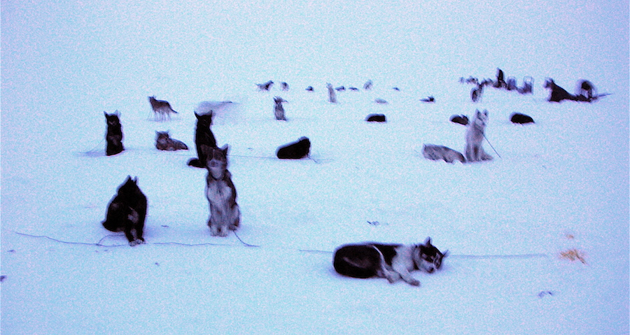 On the glacier.