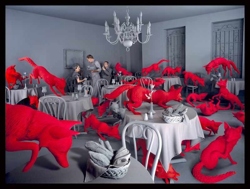 sandy skoglund fox games