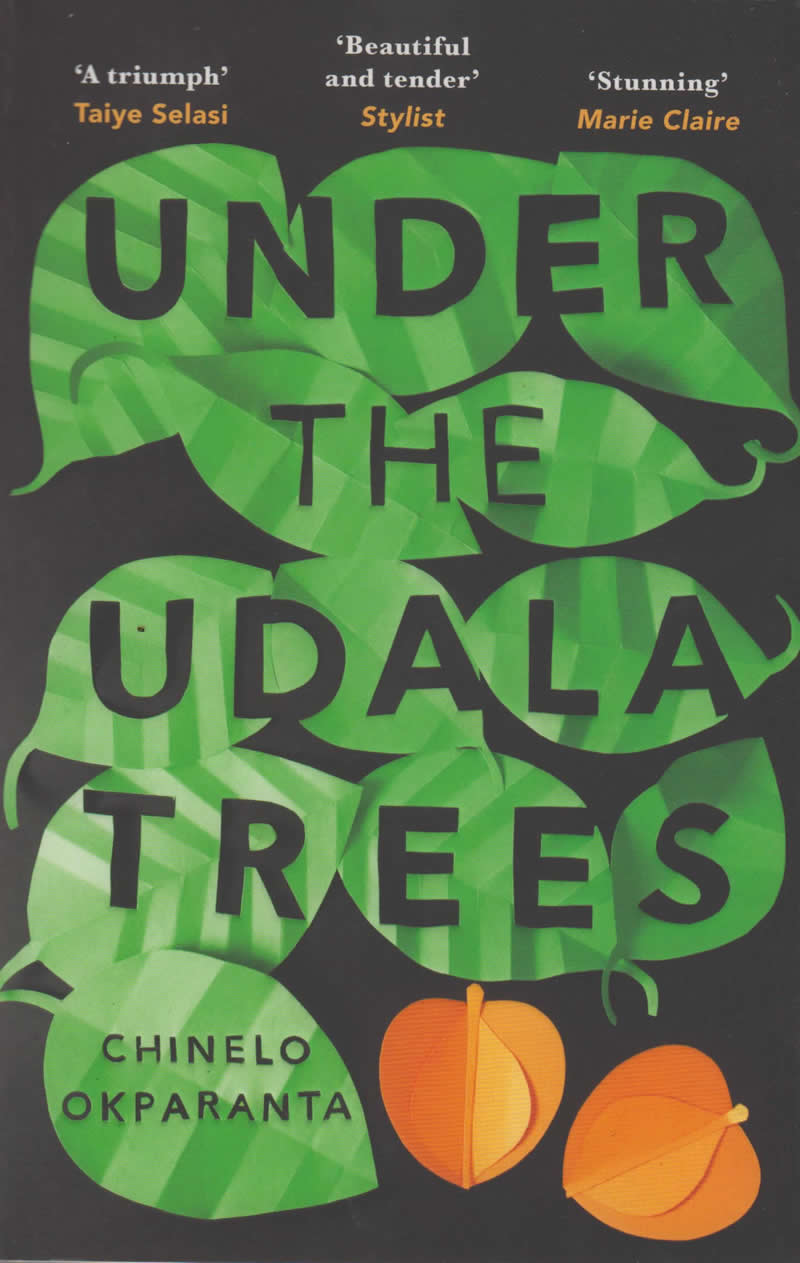summary of under the udala tree