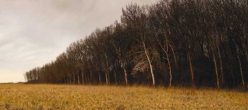 At The Edge Of The Woods Why Writers Need Wilderness Literary Hub