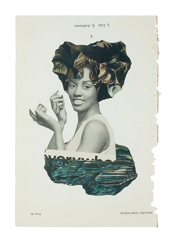 Lorna Simpson collage