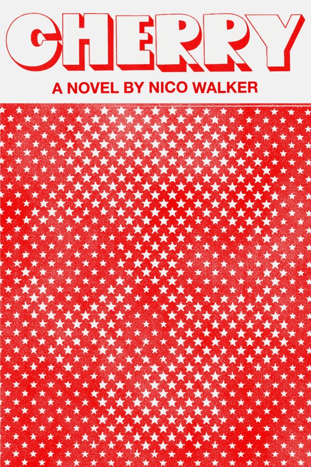 Cherry by Nico Walker; design by Janet Hansen (Knopf / August 2018)