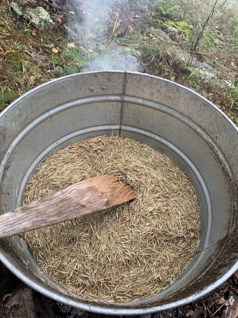 tara houska wild rice