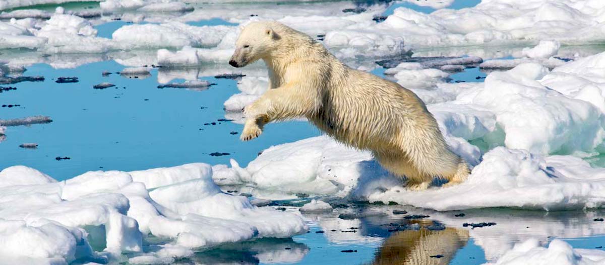 How Do We Bring More Urgency to the Climate Crisis? Emma Sloley and Emily Raboteau in Conversation
