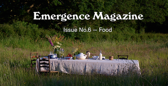 emergence magazine food