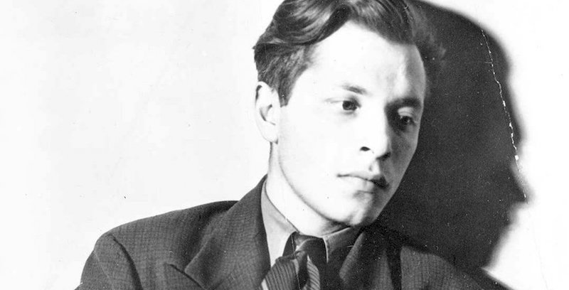Delmore schwartz baudelaire image
