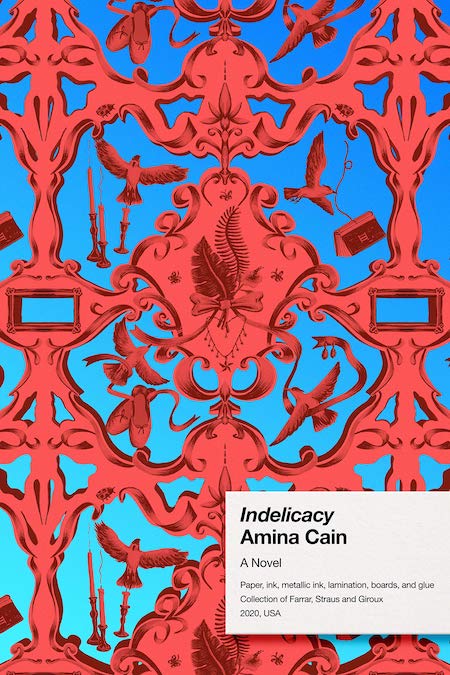 Amina Cain, <em>Indelicacy</em>; design by June Park (FSG, February 11)