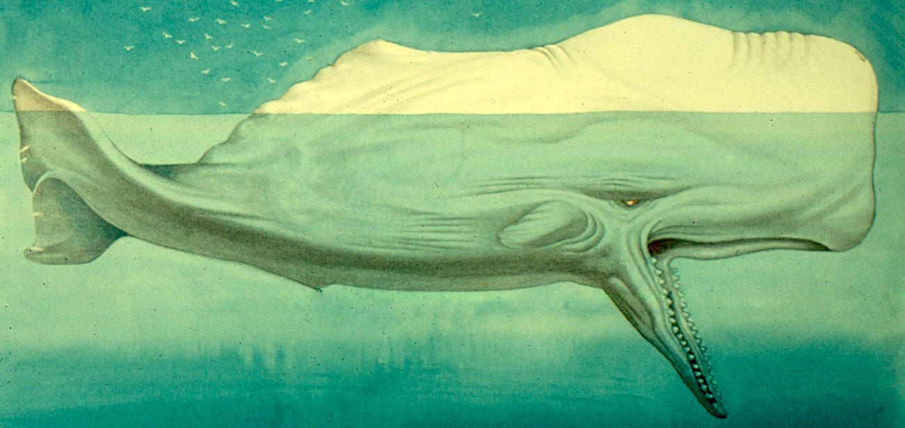 Moby Dick S Powerful Message For The Atomic Age Literary Hub