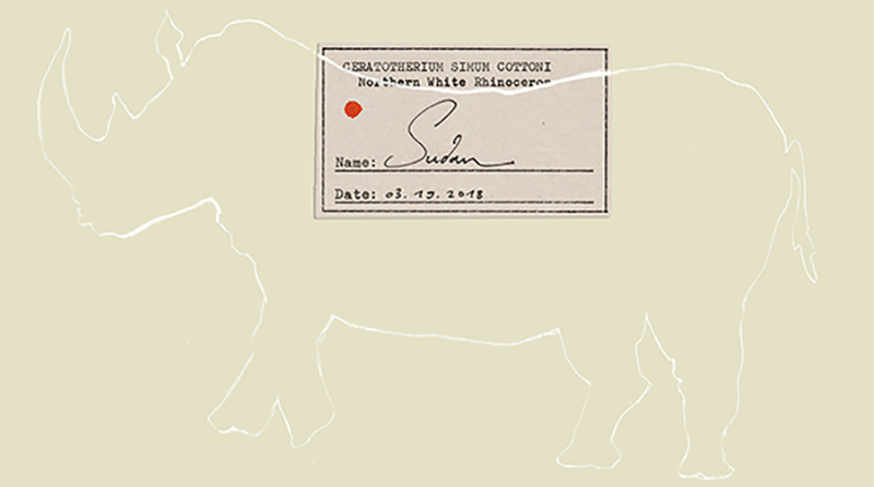 Phub theme song picture