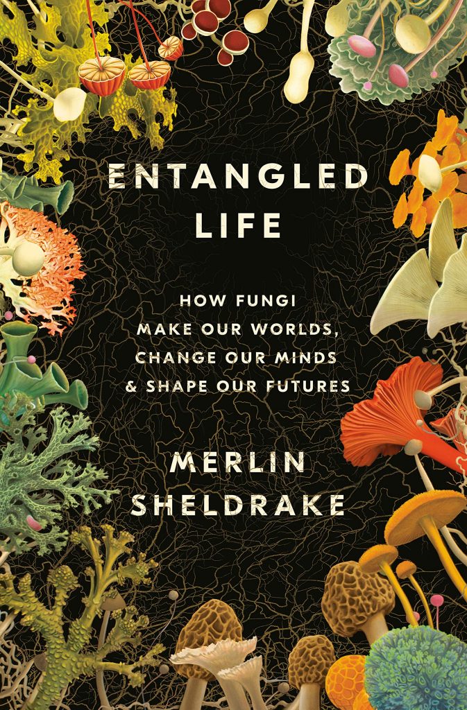 Merlin Sheldrake, <em><a href="https://bookshop.org/a/132/9780525510314" target="_blank" rel="noopener">Entangled Life</a></em>; cover design by Lucas Heinrich, cover illustration by Tim O'Brien (Random House, May 12)