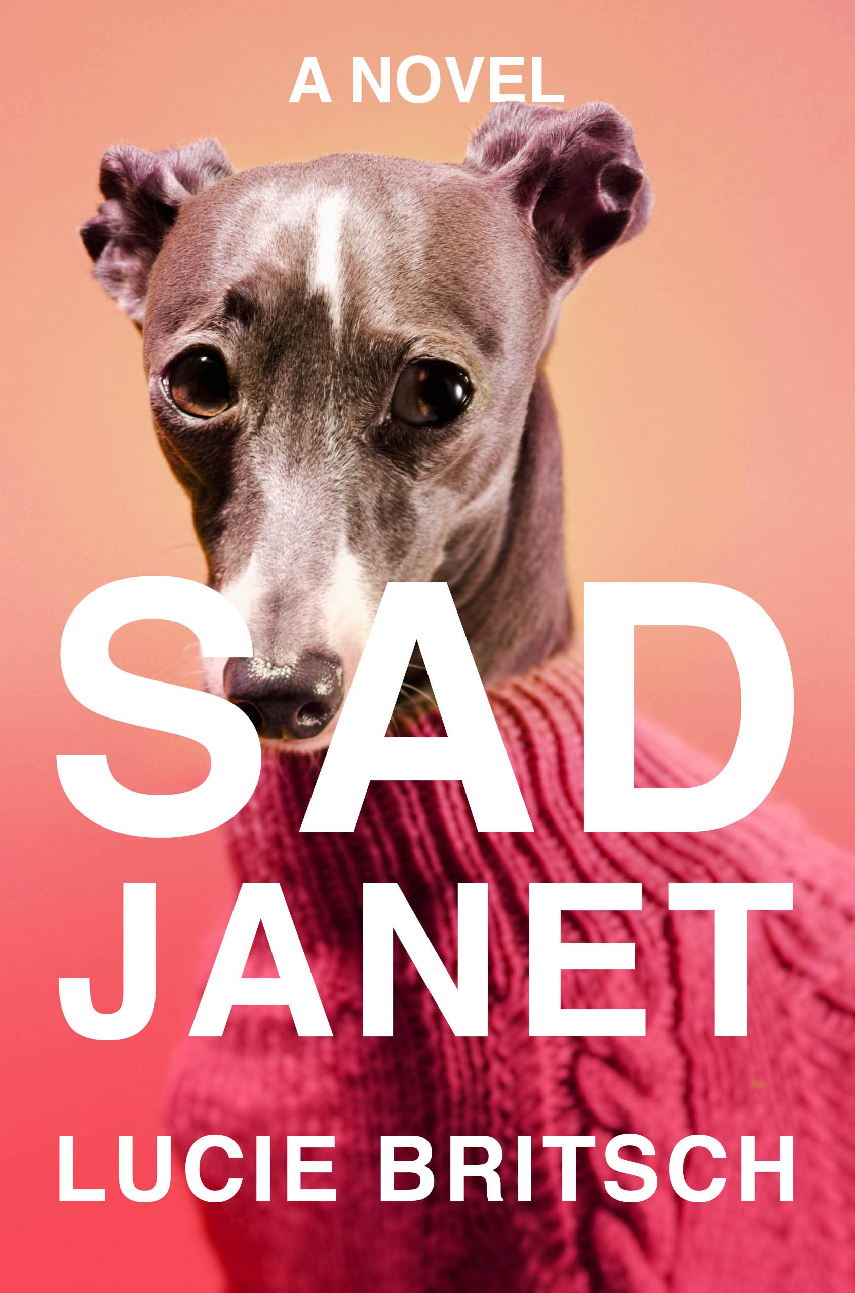 Lucie Britsch, <em>Sad Janet</em>; cover design by Na Kim (Riverhead, July 16)