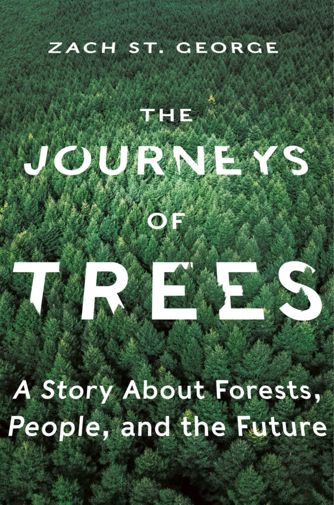 Zach St. George, <em>The Journeys of Trees</em>; cover design by Yang Kim; art direction by Ingsu Liu (W.W. Norton, July 14)