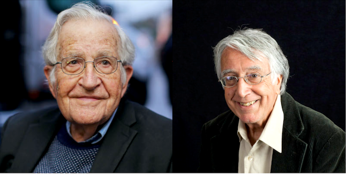 Noam Chomsky On The President The Pandemic And The Upcoming Election Literary Hub