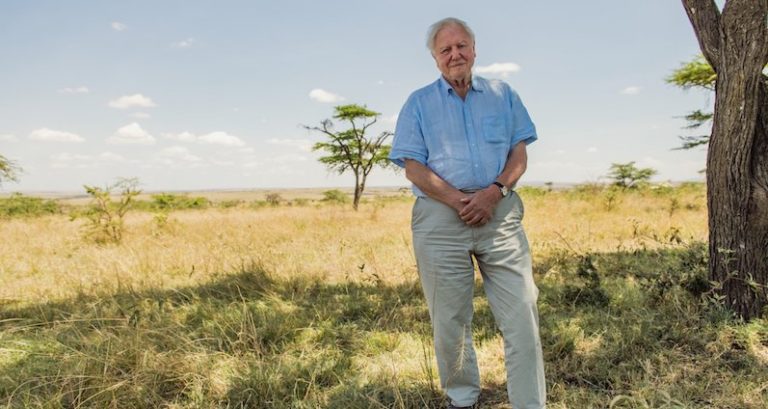 Sir David Attenborough: Nature Shows That Prosperity Doesn’t Mean Endless Expansion