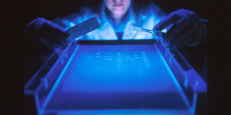 Genetic Engineering Is a Lot Like Cooking (You Just Have to Be a Genius to Do It)