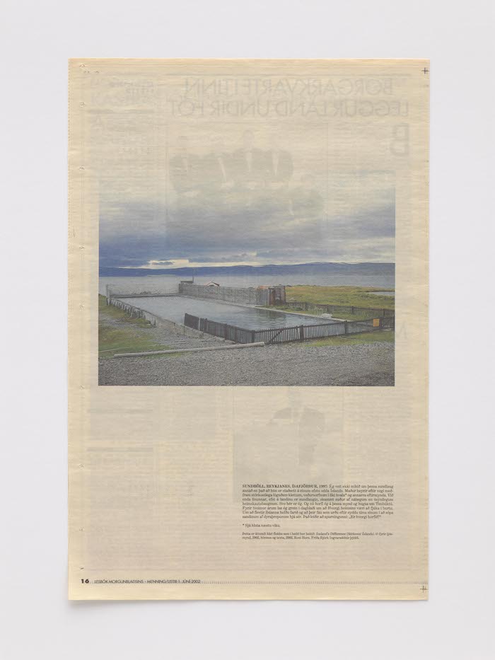 roni horn