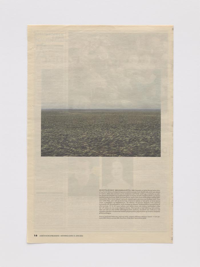 roni horn