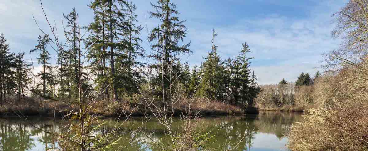 Growth, Loss, and a Mailbox Mystery: 13 Years in Gray's River Valley ‹ Literary Hub - Vimarsana News