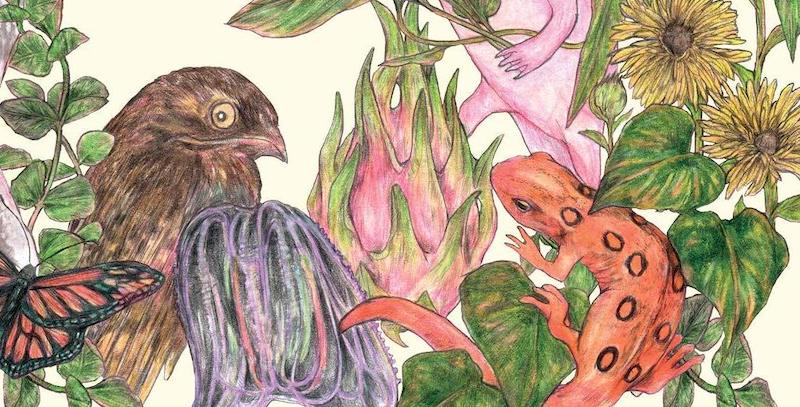 Flight Patterns: Reading of the Creatures of the Air - Vimarsana News