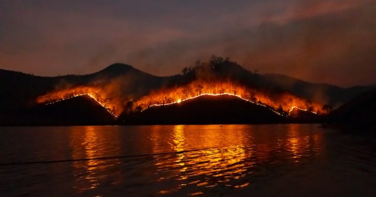 forest fire