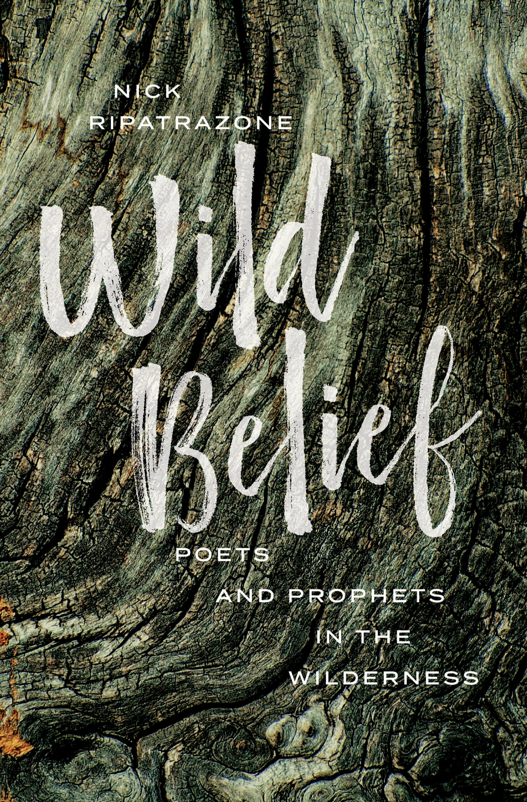 Wild Belief, Nick Ripatrazone