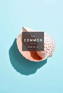 The Common Issue 22