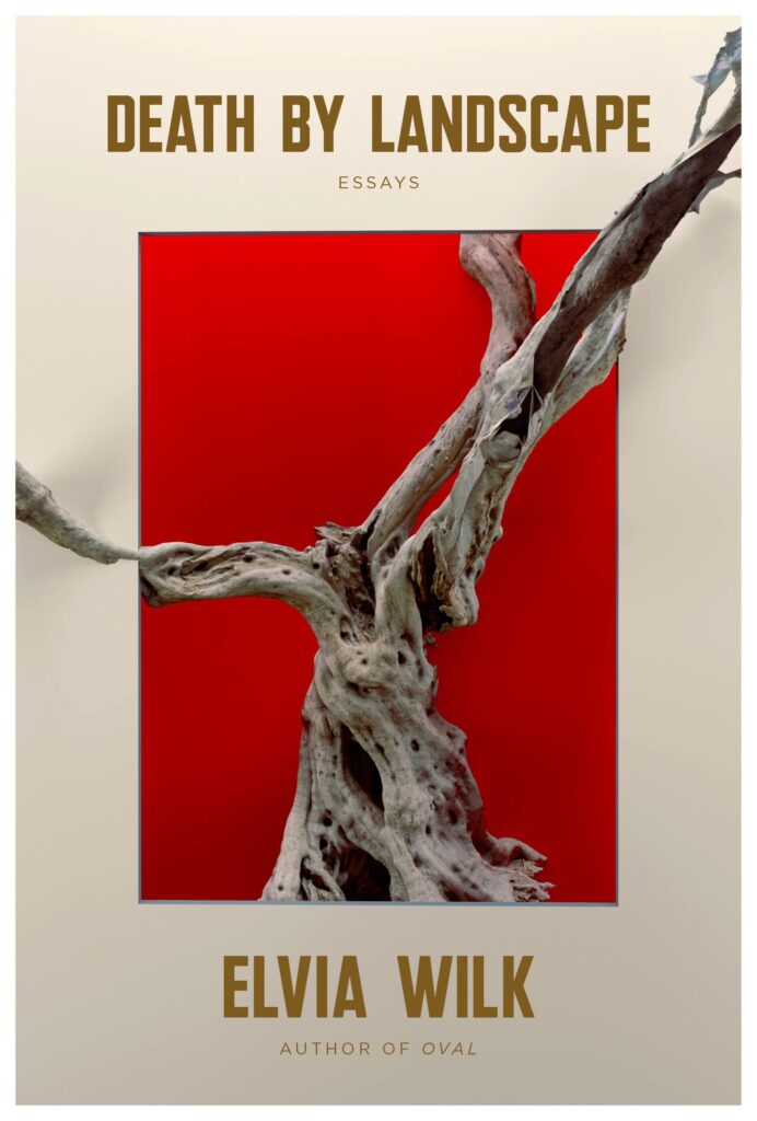 Elvia Wilk, Death by Landscape: Essays