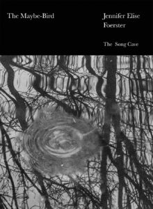 the-maybe bird