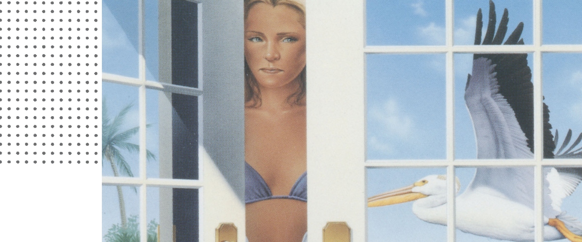 cover of breaking and entering