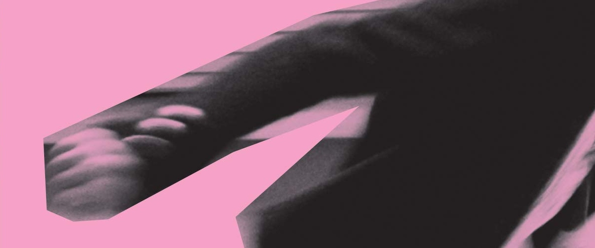 a history of my brief body