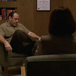 the sopranos therapy