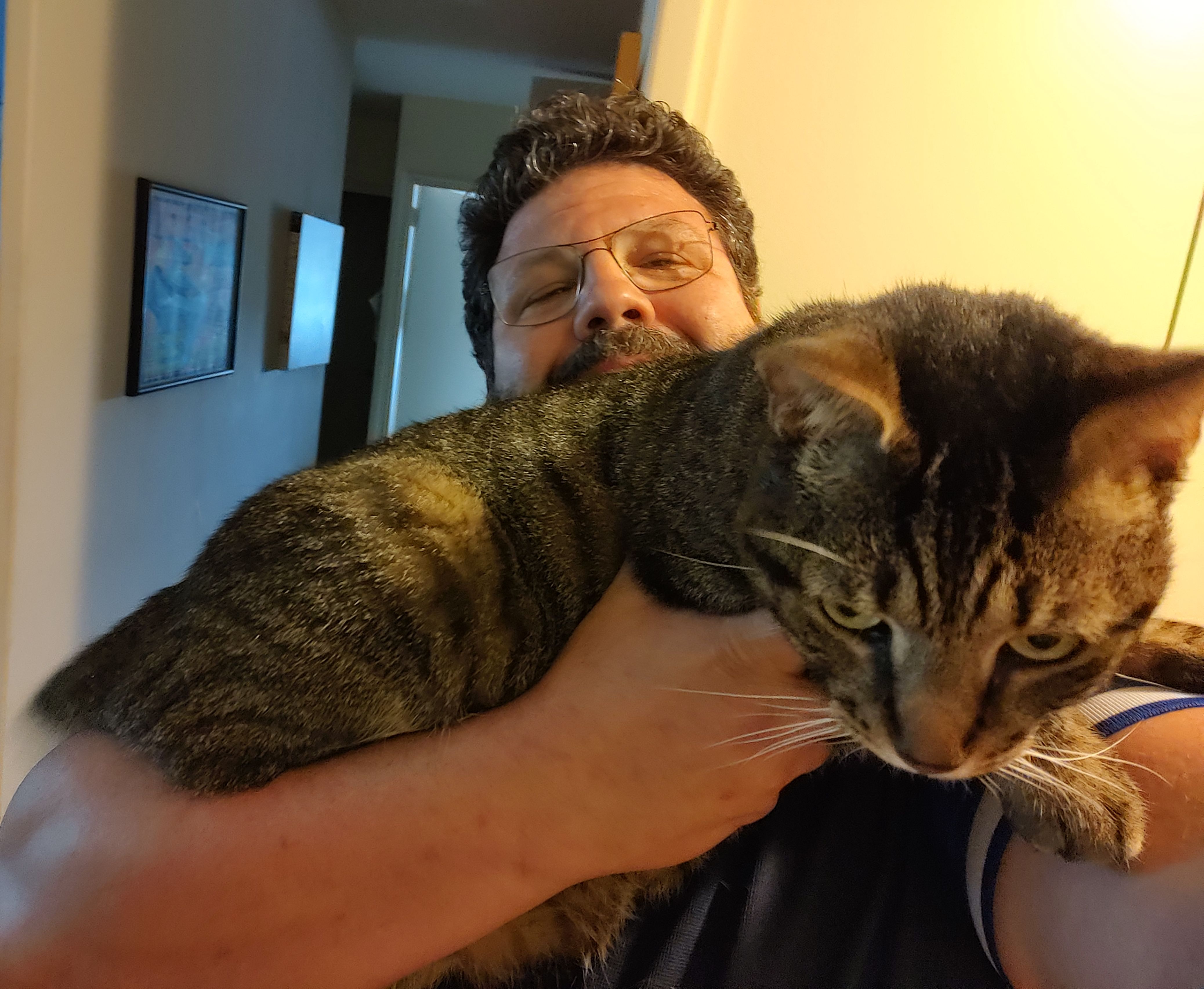 the white cat joyce carol oates