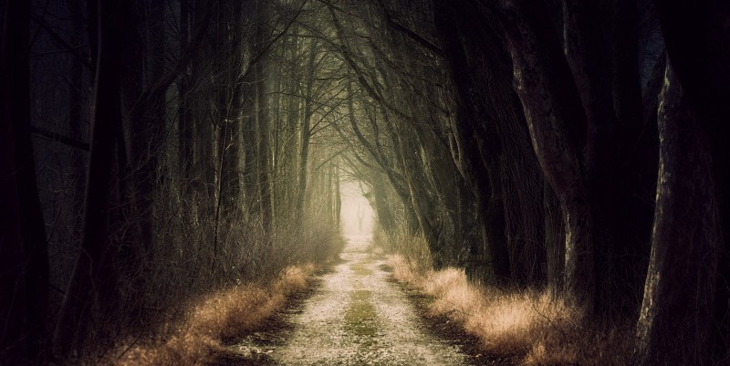 Scary Times Call for Scary Reads - When life gets tough, some readers look for books about ghosts, monsters, survival, and the terrifying unknown.